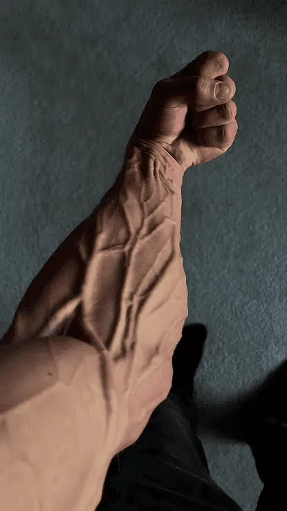 Braço vascularizado durante o treino